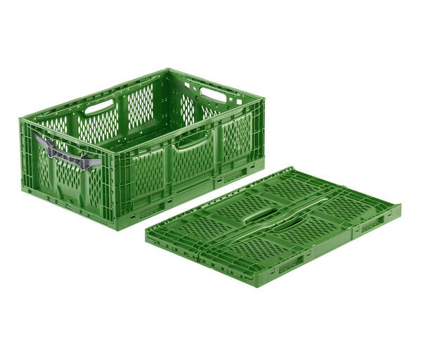 Container for food, vegetables and fruits Clever-Fresh-Box 2356